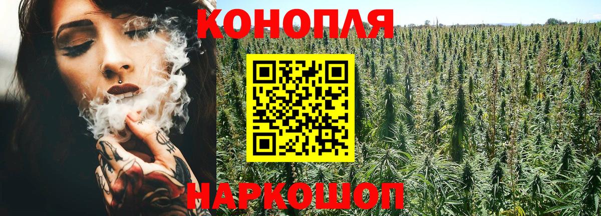 Канабис план Троицк
